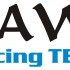 Ice Speedway w Opolu dla Madzi Gruszki - 03 Logo HAWI Racing TEAM