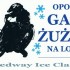 Ice Speedway w Opolu dla Madzi Gruszki - 04 Logo OGZnL