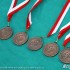 Wlokniarz Czestochowa ZKZ Zielona Gora - 19 medale