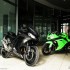 Kawasaki Ninja 300R 2013 pelnoprawny sportowiec - ninja 300 2013 czarny i zielony