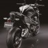Kawasaki Z800 skazany na sukces - Kawasaki Z800 2013 tyl