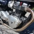 Triumph Bonneville Thruxton R zloto co sie swieci - Nowy Triumph Thruxton R 2016 piec