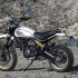 Ducati Scrambler Desert Sled pustynne sanki - Scrambler Desert Sled 2017 tyl