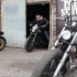 Harley Davidson Street Rod 750 maly rewolucjonista - retro custom