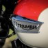 Triumph Bonneville T100 2017 nowoczesna klasyka - Triumph Bonneville T100 emblemat na zbiorniku