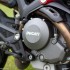 Ducati Monster 796 hedonista - kosz Ducati Monster 796