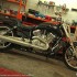 Harley-Davidson V-Rod Muscle sila - miesniak w garazu Harley Davidson V Rod Muscle