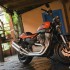 Harley Davidson XR1200 brudny Harry - motocykl xr1200 harley davidson test a mg 0070