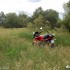 Honda CBF125 wstep do turystyki - CBF w trawie