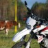 Yamaha WR250R na pierwszy motocykl dla kobiety - Krowa i koza czyli WR250R