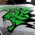 Arctic Cat Thundercat 1000 duzy kotek - Arctic Cat ThunderCat 1000 logo naklejka