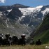 Motocyklowym spacerkiem po Alpach - Gory Alpy motocyklem
