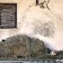 Skuterem do Wloch w strone toskanskich plaz - koty z slomie
