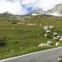 Alpy na motocyklu poskromic gory - Furkapass popas trwa