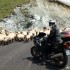 Balkany na motocyklu z dala od zgielku - korki uliczne