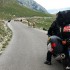 Balkany na motocyklu z dala od zgielku - przejscie dla owiec