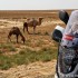 Motocyklami dookola swiata 30 krajow 4 kontynenty wielka przygoda - 09 Kazachstan wielblad