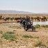Motocyklami dookola swiata 30 krajow 4 kontynenty wielka przygoda - 11 Kazachstan u wodopoju