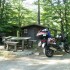 Podroz motocyklowa po Europie w trase na Hondzie CBF600 - postoj w lesie