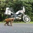 Swiat to za malo cztery kontynenty na motocyklach - monkey buissness