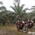 Cameroon Challenge motocyklowa podroz po Afryce - posrod palm