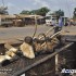 Cameroon Challenge motocyklowa podroz po Afryce - wolowe lby