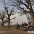 Cameroon Challenge motocyklowa podroz po Afryce - wysuszone drzewa