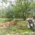 Dookola na dwoch kolach motocyklem po Europie czesc trzecia - pustka w lesie
