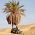 Libia Quad Adventure cz III - Slawek Zabieglik pod palma