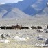 Mongolia raj na Ziemi - gory pustynie pastwiska