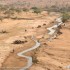 Motocyklem przez Afryke wschod kontynentu na poczatek - Zwierzeta wzdluz rzeki - turystyka motocyklowa - Afryka na motocyklu  5