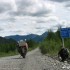 Syberian Express motocyklem po Rosji - Droga na Magdan