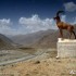 Wyprawa motocyklowa do Azji Centralnej - adzykistan Pamir