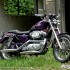 Harley-Davidson Sportster 1200 zlote dziecko - Harley Davidson Sportster 1200 1