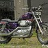 Harley-Davidson Sportster 1200 zlote dziecko - Harley Davidson Sportster 1200 2