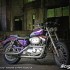 Harley-Davidson Sportster 1200 zlote dziecko - Harley Davidson Sportster 1200 dark