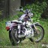 Harley-Davidson Sportster 1200 zlote dziecko - Harley Davidson Sportster 1200 od tylu