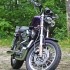 Harley-Davidson Sportster 1200 zlote dziecko - Harley Davidson Sportster 1200 przod