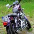 Harley-Davidson Sportster 1200 zlote dziecko - Harley Davidson Sportster 1200 tyl 2