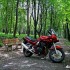 Suzuki Bandit 1200S po 30000 km - Suzuki Bandit 1200 1997 w lesie