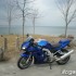 Suzuki SV1000 dzikus z manierami - Suzuki 1000 sv blue
