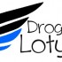 Drogowe Loty  Zygzak Trip 2013 - DrogoweLoty Logo