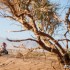 Dakar 2014  protesty zawodnikow weryfikacja wynikow - Rafal Sonik na pustyni