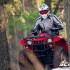 Ekolodzy zadaja wyzszych kar dla motocyklistow - quad w lesie