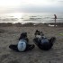 Podroze Male i Duze  wyniki konkursu - nad morzem w Darlowku