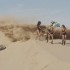 The Doonies  dziewczyny crossowki i wydmy - laski w piasku