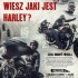 Nadjezdza Harley on Tour  23 motocykle 33 imprezy 15 krajow - harley on tour