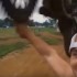 Motocross selfie  robisz to zle - cross selfie