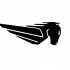 Pozostalosci Erik Buell Racing sprzedane - erik buell racing logo