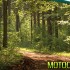 Lasy Panstwowe otwieraja sie na motocyklistow - motocyklowa natura